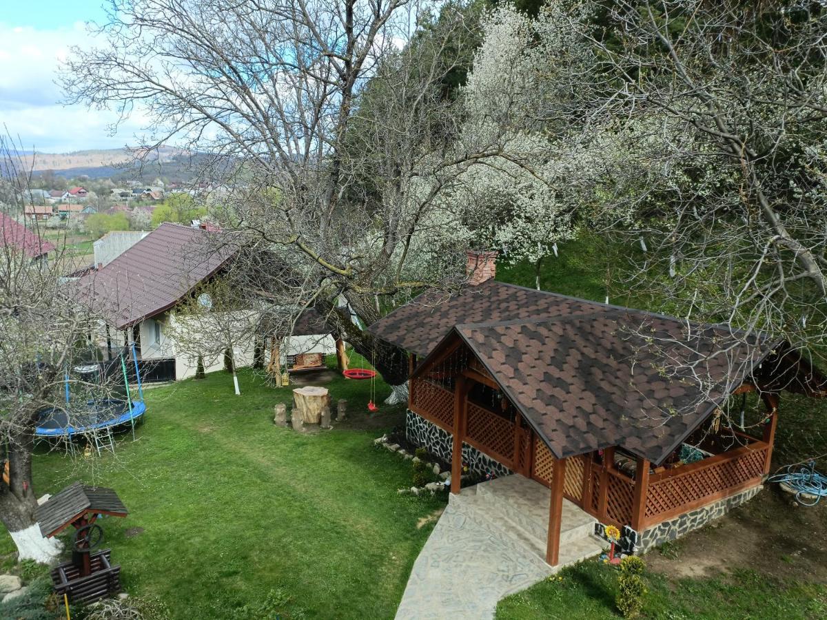 Casa Dintre Pini Villa Paltinoasa Exterior photo